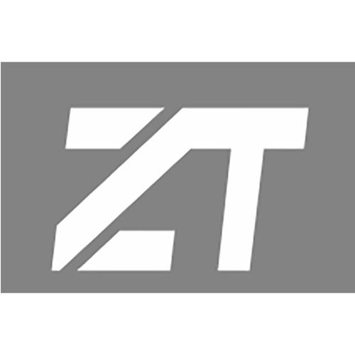 商标文字zt,商标申请人台州政通企业管理咨询的商标详情 - 标